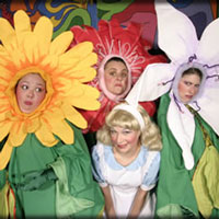 Alice in Wonderland