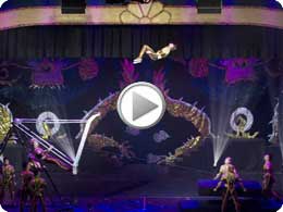 Cirque Shanghai Navy Pier Chicago