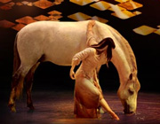 Cavalia