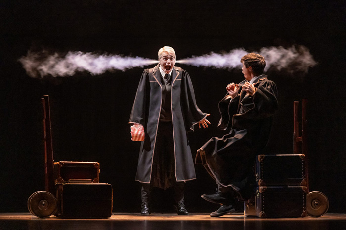 Harry Potter and the Cursed Child Chicago