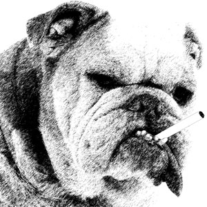 No Dogs in the Kitchen