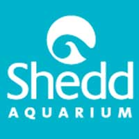 Shedd Aquarium
