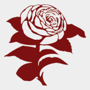 Sub Rosa Theatre Collective