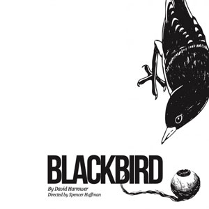 Blackbird