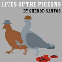 Lives of the Pigeons