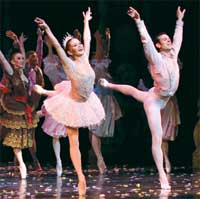 The Nutcracker