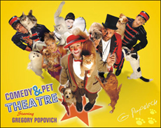 Comedy and Pet Theatre