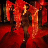 Yoni Ki Baat-Strawdog Theatre- Chicago