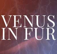 Venus In Fur