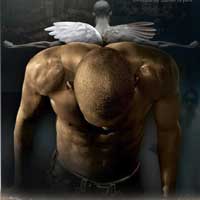 The Fall of Heaven The Fall of Heaven