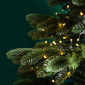 The House Without a Christmas Tree