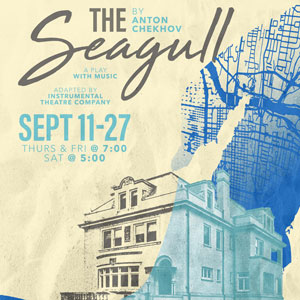 The Seagull